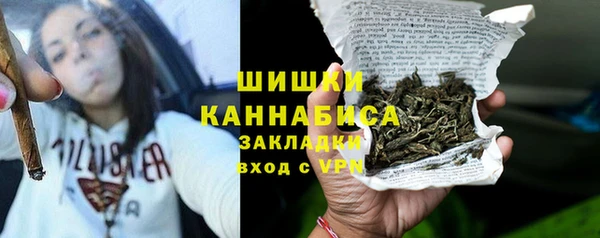 Альфа ПВП Верея