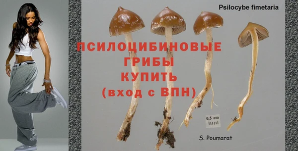 Альфа ПВП Верея