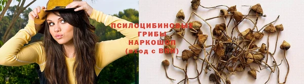 стафф Верхнеуральск