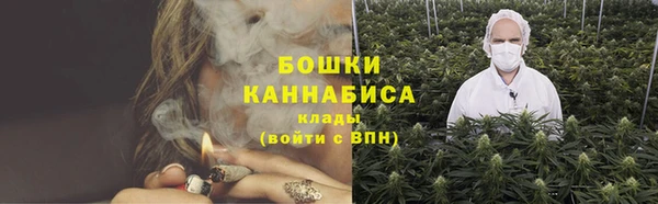 Альфа ПВП Верея