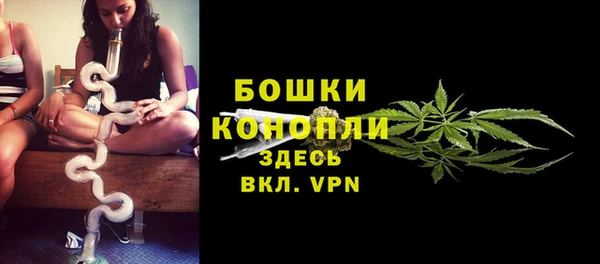 Альфа ПВП Верея
