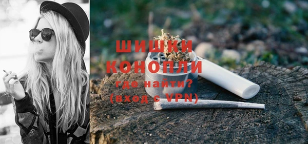 Альфа ПВП Верея