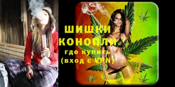 Альфа ПВП Верея